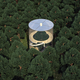 Image for article titled 8 Buildings Designed to Incorporate the Trees Around Them
